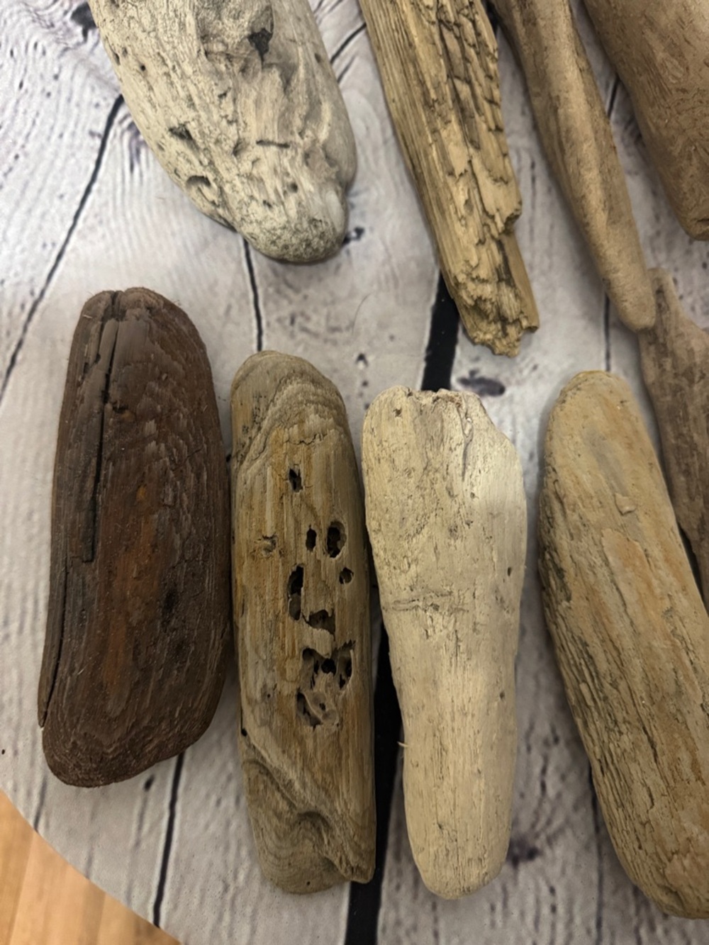 20 pieces PNW Pacific Ocean Grays Harbor Natural Driftwood Home Accent Bundle - Picture 9 of 17